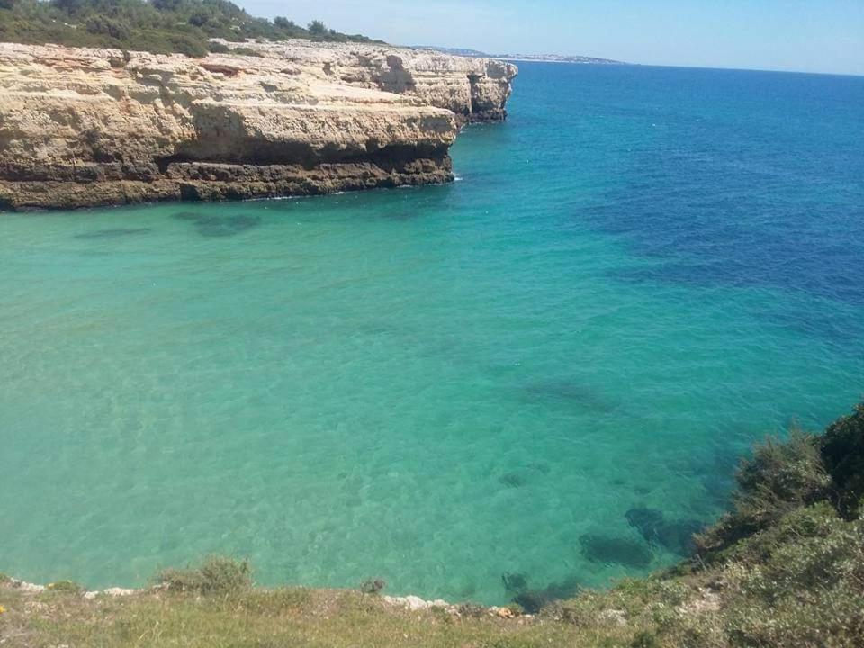 Al Algarve - Alojamento Local Com Excelente Localizacao Карвоейру Экстерьер фото